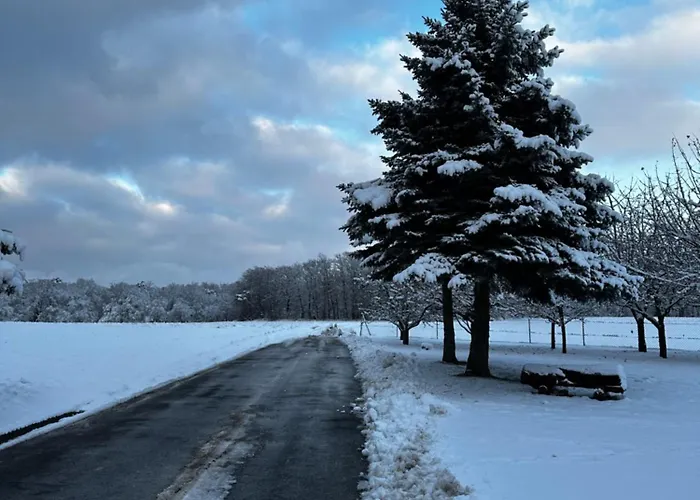 Idyllisches “werra Ausblick” Am Meißner * Hitzerode